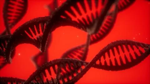 Structure of the DNA double helix animation Illustration