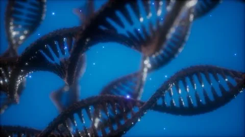 Structure of the DNA double helix animation 스톡 일러스트
