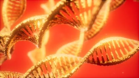 Structure of the DNA double helix animation イラスト素材