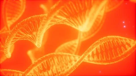 Structure of the DNA double helix animation 스톡 일러스트