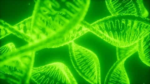 Structure of the DNA double helix animation イラスト素材