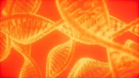 Structure of the DNA double helix animation Illustrazione stock