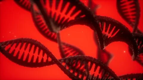 Structure of the DNA double helix animation イラスト素材