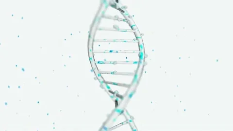 The structure of the DNA molecule, close-up, white background Stock Footage 233151937