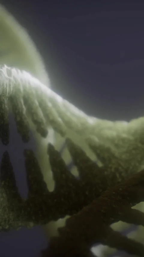 Structure of DNA shows a double helix with detailed patterns and textures Stock Footage 336171920