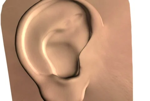 Structure of ear Video stock 303890