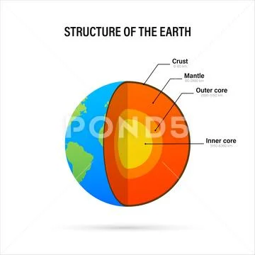 Structure of the earth - cross section with accurate layers of the ...