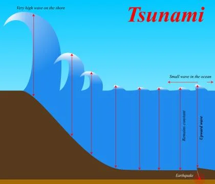 The structure of earthquake Tsunami. Education chart of natural phenomenon. Illustrazione stock