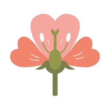 The structure of the flower in a section, botany and biology. Vector illust.. Stock Illustration