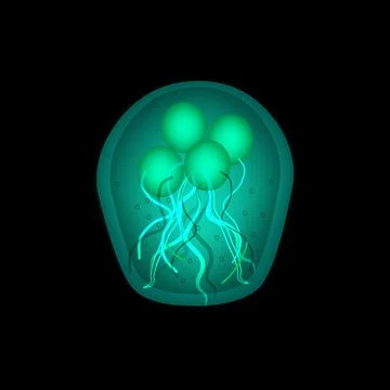 The structure of Giardia cysts. Vector illustration. Stock Illustration