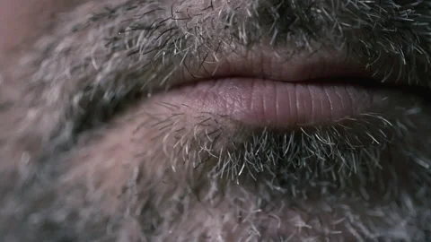 The structure of hair on the face of a man close-up. Unshaven man. Gray hair Video stock 168994391