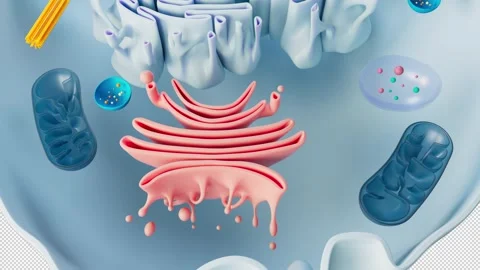 Structure of a Human Cell 動画素材 282962674