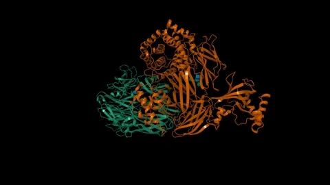 Structure of human complement C3 Stock Footage 302482090