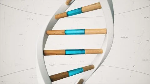 The structure of the human DNA rotates against the background of compounds an 스톡 사진