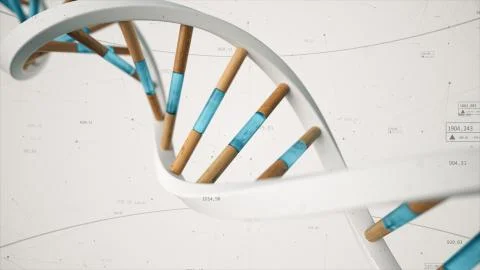 The structure of the human DNA rotates against the background of compounds an Stock Photos
