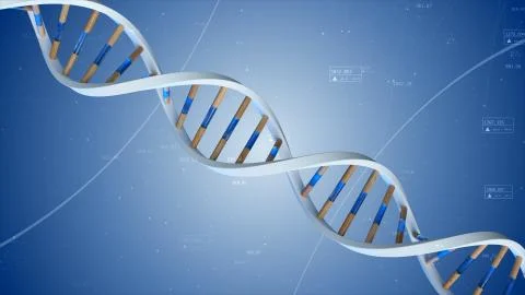 The structure of the human DNA rotates against the background of compounds an Stock Photos