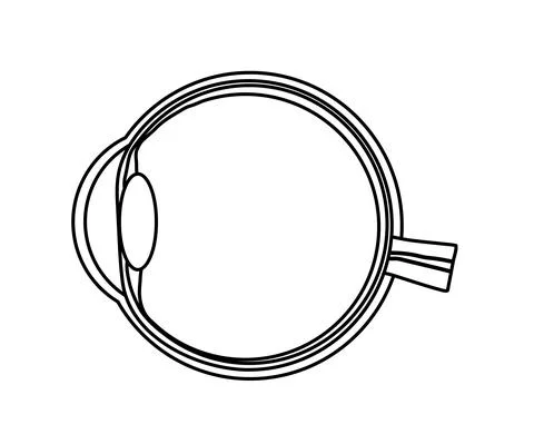 The structure of the human eye. Silhouette. Stock Illustration