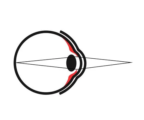 The structure of the human eye. Silhouette. Vector Stock Illustration