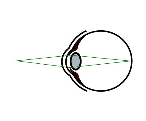 The structure of the human eye. Silhouette. Vector. Stock Illustration