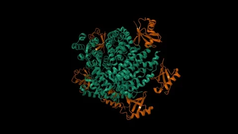Structure of human RIG-I 2CARD-Ubiquitin... | Stock Video | Pond5