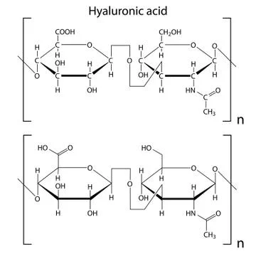 Structure of hyaluronic acid Stock Illustration