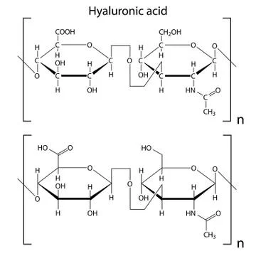 Structure of hyaluronic acid Stock Illustration