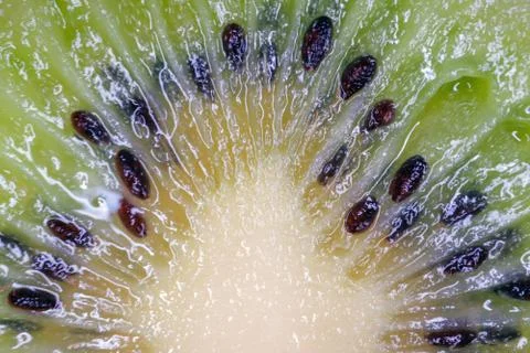 The structure of the kiwi macro as the background Foto stock