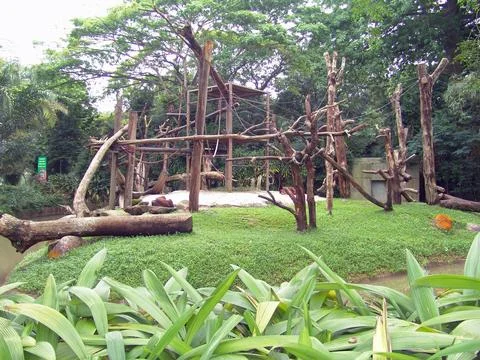 Structure made from old logs and branches 스톡 사진