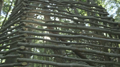 Structure Made of Twigs in the Woods Stock Footage 63928936