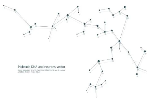 Structure molecule dna and neurons, connected lines with dots, genetic and Stock Illustration