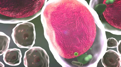 Structure of the molecule Stock Footage 62506653