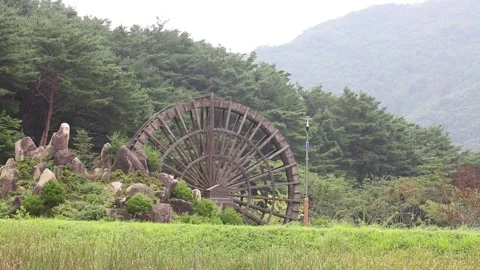 Structure in a mountain forest Stock-Footage 303402074