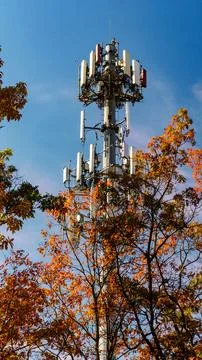 This structure is a multi-carrier telecommunications tower. 스톡 사진