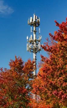 This structure is a multi-carrier telecommunications tower. 스톡 사진