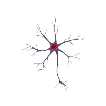 Structure of neuron, nerve cell. Anatomy and science concept. Icon in flat style イラスト素材