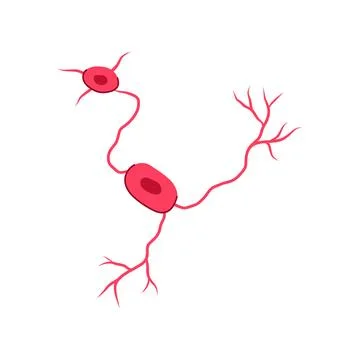 Structure neurons cartoon vector illustration Illustrazione stock