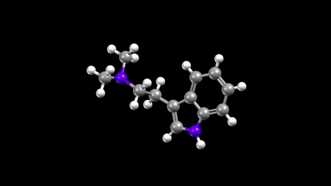 Structure of N,N-Dimethyltryptamine Stock Footage 295888720