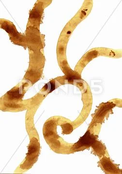 Structure of an old paper with mould stains Stock Photos