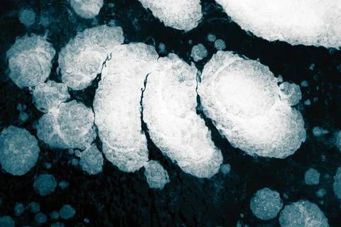 Structure, pattern and crystals of newly formed ice structure, pattern and... 写真素材