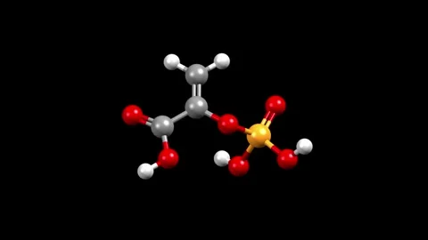 Structure of phosphoenolpyruvate Stock Footage 345629715