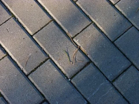 Structure Stock Photos