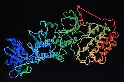 Structure of the protein molecule. Stock Photos
