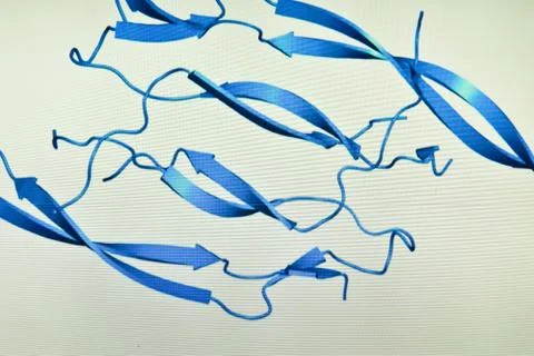 Structure of the protein molecule. Stock-Fotos