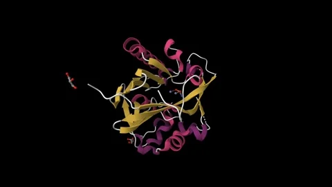 Structure of quorum-quenching N-acyl homoserine lactone lactonase Stock Footage 256809860