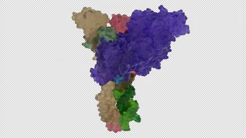 Structure of replicating SARS CoV2 polymerase shell - Corona RNA Stock Footage 154064720