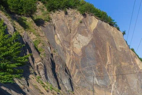 The structure of the rock covered with trees Stock Photos