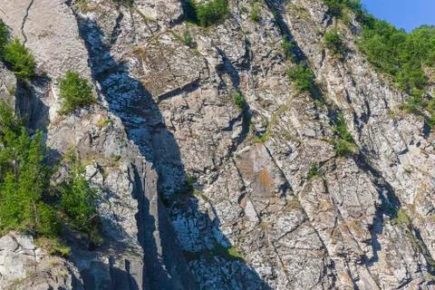 The structure of the rock covered with trees Stock Photos