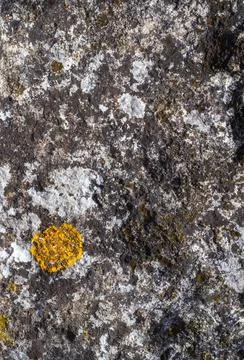 The structure of the rock surface in the section, quarrying in the natural en Stock Photos