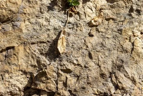 The structure of the rock surface in the section, quarrying in the natural en Stock Photos