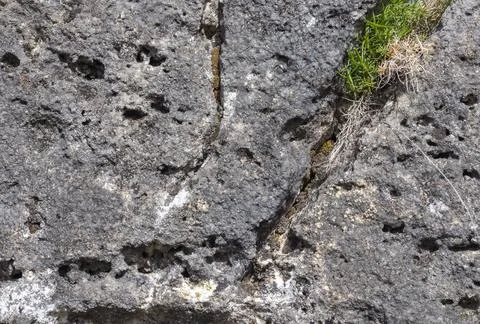 The structure of the rock surface in the section, quarrying in the natural en Stock Photos